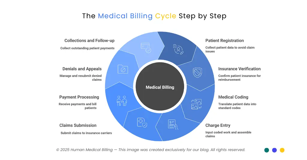 Medical billing cycle step by step infographic by Human Medical Billing showing patient registration, insurance verification, coding, charge entry, claims submission, payment processing, denials, and collections.
